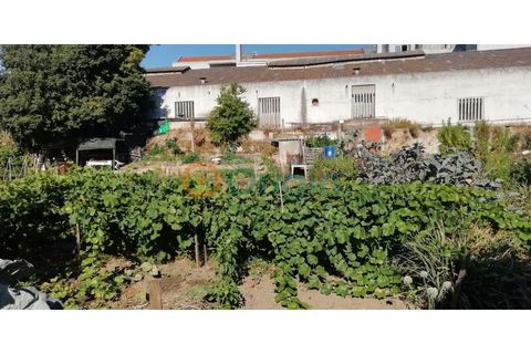Helårsgrund i Setubal, Setubal, Setubal - € 1.550.000 | Ref: TER_6470 - foto 5