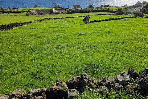Tomt i Ribeiras, Pico, Ribeiras - € 35 000 | Ref: AZ98792MK - foto 3