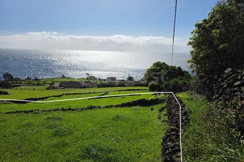 Tomt i Ribeiras, Pico, Ribeiras - € 35 000 | Ref: AZ98792MK - foto 4