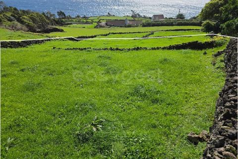 Tomt i Ribeiras, Pico, Ribeiras - € 35 000 | Ref: AZ98792MK - foto 5