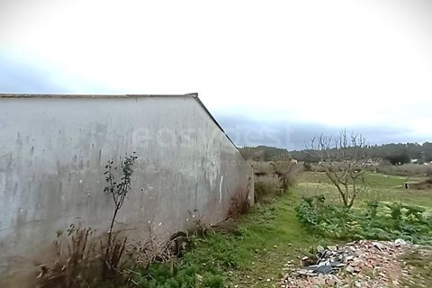 Villa i Abrantes, Santarem, Abrantes - € 190.000 | Ref: TM98807 - foto 2