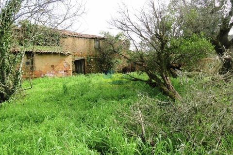 Ruinere i Miranda do Corvo, Coimbra, Miranda do Corvo - € 20.000 | Ref: ko2715 - foto 4