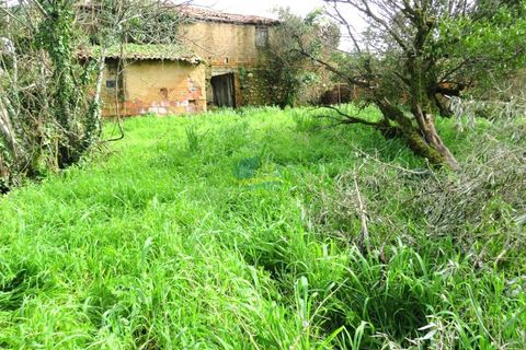 Ruinere i Miranda do Corvo, Coimbra, Miranda do Corvo - € 20.000 | Ref: ko2715 - foto 5