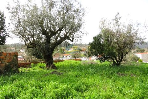 Ruinere i Miranda do Corvo, Coimbra, Miranda do Corvo - € 20.000 | Ref: ko2715 - foto 11