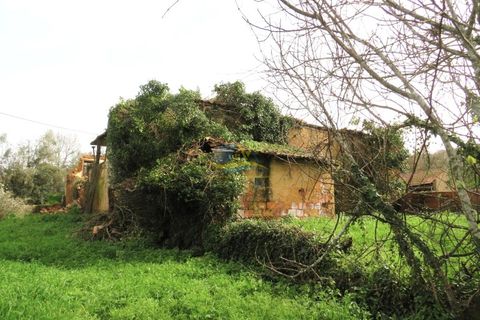Ruinere i Miranda do Corvo, Coimbra, Miranda do Corvo - € 20.000 | Ref: ko2715 - foto 12