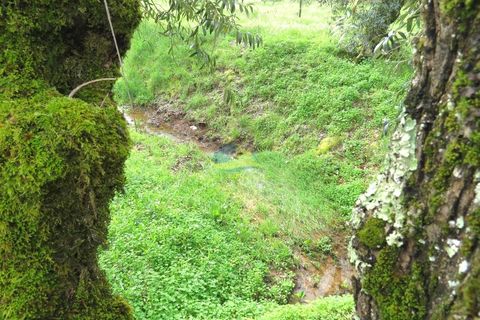 Helårsgrund i Miranda do Corvo, Coimbra, Miranda do Corvo - € 15.000 | Ref: ko2714 - foto 4