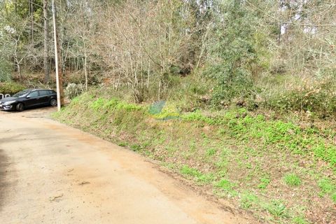 Helårsgrund i Miranda do Corvo, Coimbra, Miranda do Corvo - € 15.000 | Ref: ko2714 - foto 5