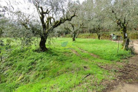 Helårsgrund i Miranda do Corvo, Coimbra, Miranda do Corvo - € 15.000 | Ref: ko2714 - foto 6