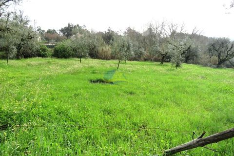 Helårsgrund i Miranda do Corvo, Coimbra, Miranda do Corvo - € 15.000 | Ref: ko2714 - foto 7
