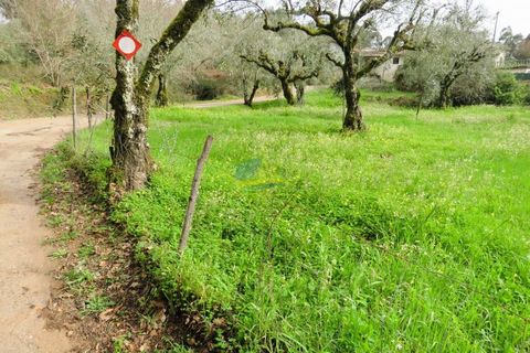 Helårsgrund i Miranda do Corvo, Coimbra, Miranda do Corvo - € 15.000 | Ref: ko2714 - foto 8