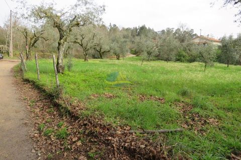 Helårsgrund i Miranda do Corvo, Coimbra, Miranda do Corvo - € 15.000 | Ref: ko2714 - foto 10