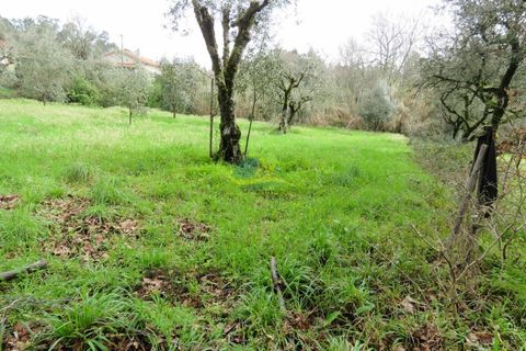 Helårsgrund i Miranda do Corvo, Coimbra, Miranda do Corvo - € 15.000 | Ref: ko2714 - foto 11