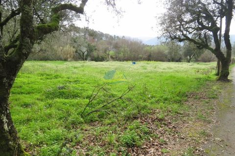 Helårsgrund i Miranda do Corvo, Coimbra, Miranda do Corvo - € 15.000 | Ref: ko2714 - foto 12