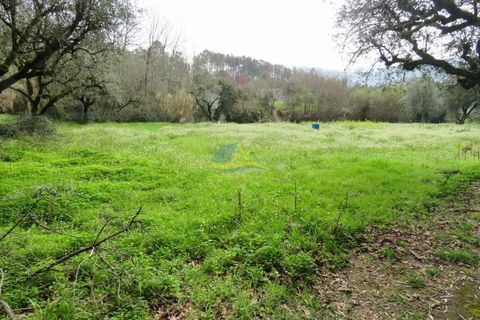 Helårsgrund i Miranda do Corvo, Coimbra, Miranda do Corvo - € 15.000 | Ref: ko2714 - foto 14