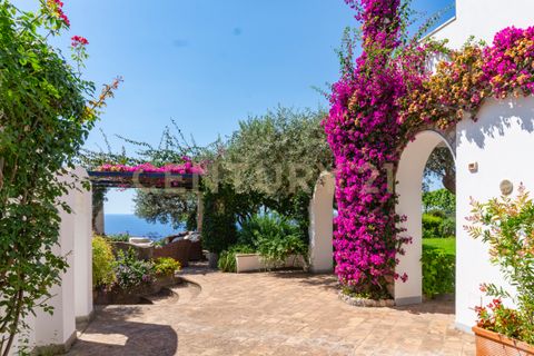 Villa a Anacapri, Naples, Anacapri - € 5.800.000 | Ref: 1013-177 - foto 9