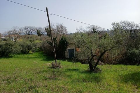 Byhus i Montecastrilli, Terni, Montecastrilli - € 15.000 | Ref: CasteldellAquila002 - foto 16