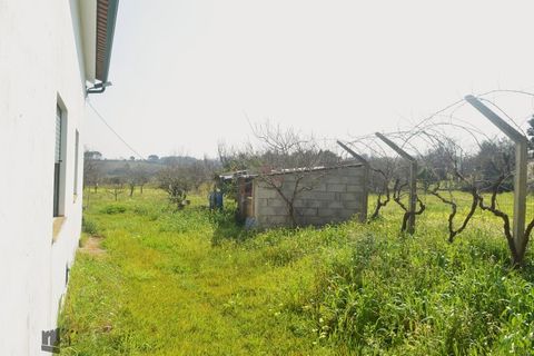 Villa i Soure, Coimbra, Soure - € 240.000 | Ref: P202/2026 - foto 23