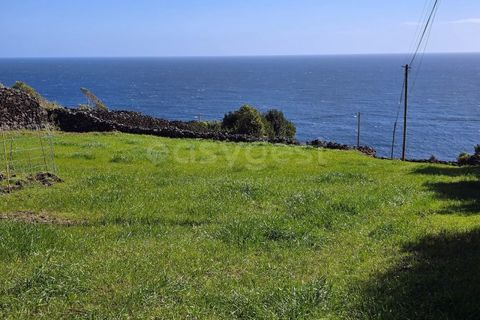 Helårsgrund i Ribeiras, Pico, Ribeiras - € 42.500 | Ref: AZ98791MK - foto 2