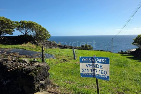 Helårsgrund i Ribeiras, Pico, Ribeiras - € 42.500 | Ref: AZ98791MK - foto 3