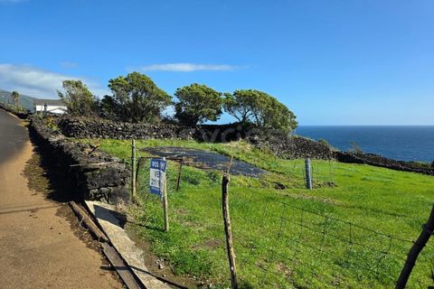 Helårsgrund i Ribeiras, Pico, Ribeiras - € 42.500 | Ref: AZ98791MK - foto 6