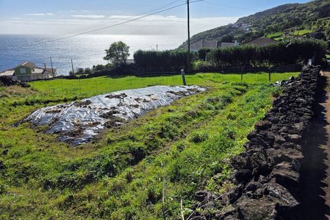 Helårsgrund i Ribeiras, Pico, Ribeiras - € 42.500 | Ref: AZ98791MK - foto 8
