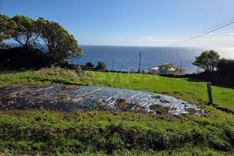 Helårsgrund i Ribeiras, Pico, Ribeiras - € 42.500 | Ref: AZ98791MK - foto 10