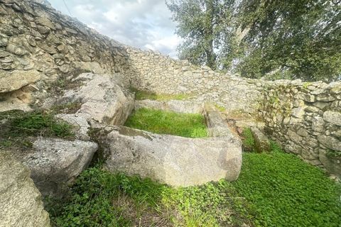 Farm i Loures, Lisbon, Loures - € 90.000 | Ref: BG98810TM - foto 5