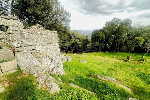 Farm i Loures, Lisbon, Loures - € 90.000 | Ref: BG98810TM - foto 6