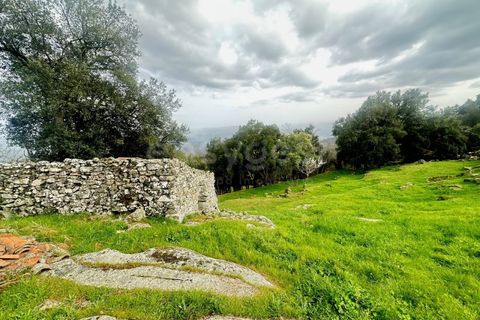 Farm i Loures, Lisbon, Loures - € 90.000 | Ref: BG98810TM - foto 8