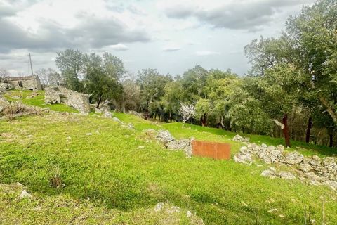Farm i Loures, Lisbon, Loures - € 90.000 | Ref: BG98810TM - foto 10