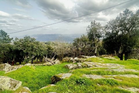 Farm i Loures, Lisbon, Loures - € 90.000 | Ref: BG98810TM - foto 12