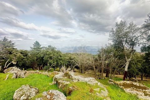 Farm i Loures, Lisbon, Loures - € 90.000 | Ref: BG98810TM - foto 13