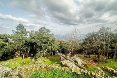 Farm i Loures, Lisbon, Loures - € 90.000 | Ref: BG98810TM - foto 14
