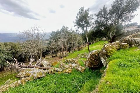 Farm i Loures, Lisbon, Loures - € 90.000 | Ref: BG98810TM - foto 15