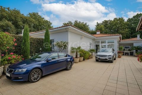 Villa i Quinta do Anjo, Setubal, Quinta do Anjo - € 635.000 | Ref: OR98781EW - foto 12