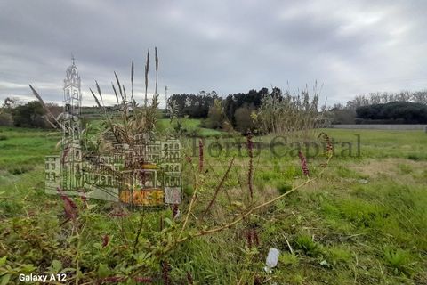 Terra a Angeiras, Porto, Angeiras - € 550.000 | Ref: PC_12419 - foto 7