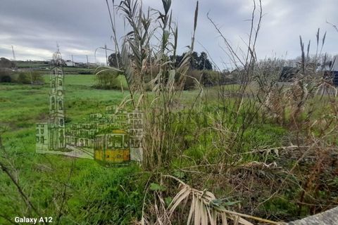 Terra a Angeiras, Porto, Angeiras - € 550.000 | Ref: PC_12419 - foto 8