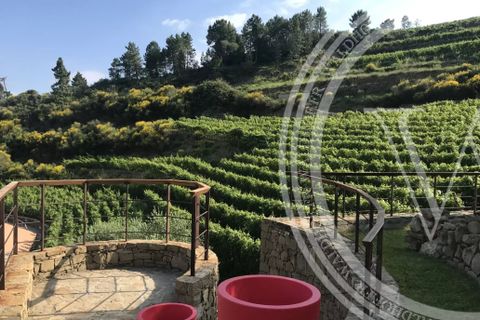 Villa a Dolceacqua, Imperia, Dolceacqua - € 4.700.000 | Ref: 86787252 - foto 5