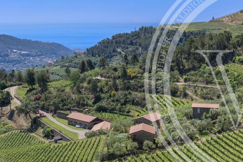 Villa a Dolceacqua, Imperia, Dolceacqua - € 4.700.000 | Ref: 86787252 - foto 2