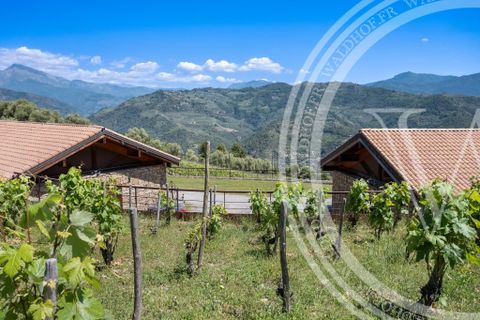 Villa a Dolceacqua, Imperia, Dolceacqua - € 4.700.000 | Ref: 86787252 - foto 3
