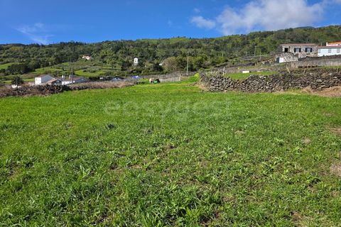 Tomt i Ribeiras, Pico, Ribeiras - € 47 500 | Ref: AZ98793MK - foto 4