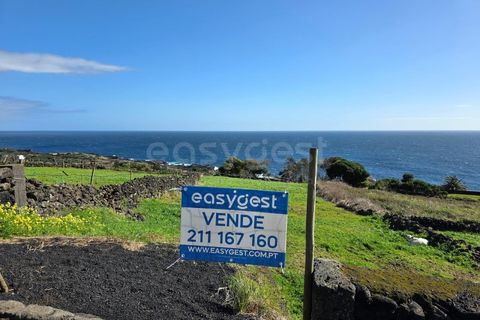 Tomt i Ribeiras, Pico, Ribeiras - € 47 500 | Ref: AZ98793MK - foto 10