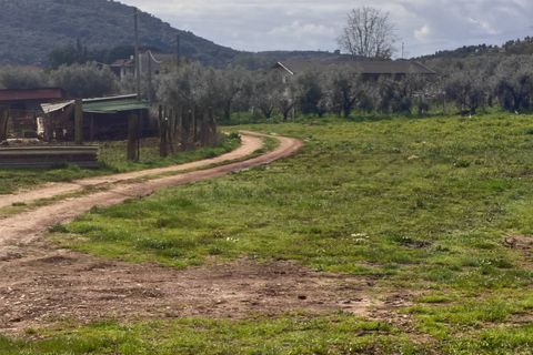 Tomt i Priverno, Latina, Priverno - € 22 500 | Ref: 2171 - foto 2