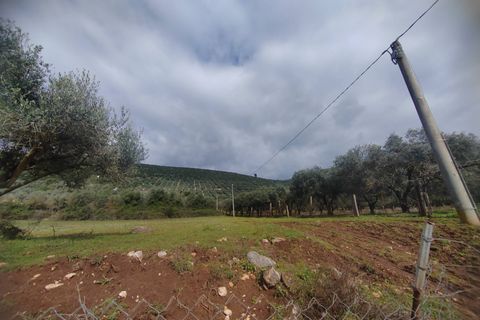 Tomt i Priverno, Latina, Priverno - € 22 500 | Ref: 2171 - foto 5