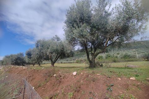 Tomt i Priverno, Latina, Priverno - € 22 500 | Ref: 2171 - foto 3