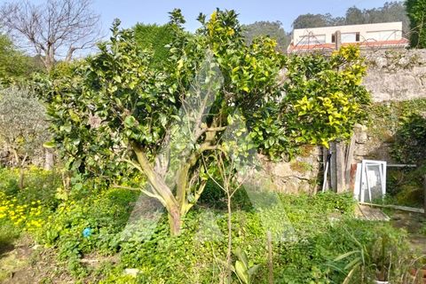 Villa i Areosa, Viana do Castelo, Areosa - € 230.000 | Ref: 1350291/26VC - foto 8