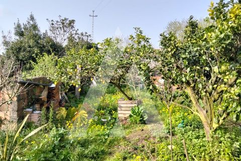 Villa i Areosa, Viana do Castelo, Areosa - € 230.000 | Ref: 1350291/26VC - foto 9