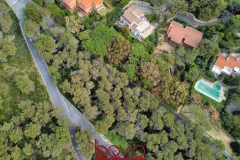Helårsgrund i Andora, Savona, Andora - € 329.000 | Ref: TERRENO.ANDORA - foto 19