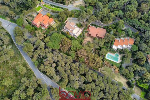 Helårsgrund i Andora, Savona, Andora - € 329.000 | Ref: TERRENO.ANDORA - foto 21