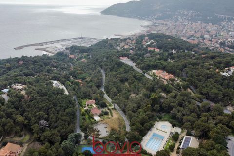 Helårsgrund i Andora, Savona, Andora - € 329.000 | Ref: TERRENO.ANDORA - foto 37